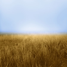 Lependorf and Shire, Horizon Fields V