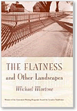 Michael Martone, The Flatness and Other Landscapes
